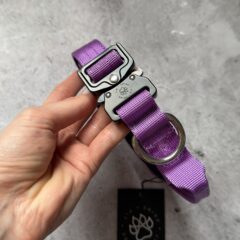 Ошейник для собак и щенков средних и крупных пород 2.5см NOVA с ручкой Pit Prime, фото 24