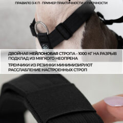 Шлейка Гжель для собак средних и крупных пород анатомическая Pit Prime COMFORT PRINT, фото 7