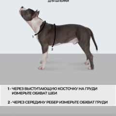 Шлейка Гжель для собак средних и крупных пород анатомическая Pit Prime COMFORT PRINT, фото 10