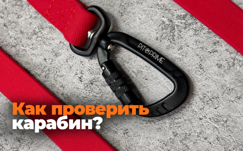 Как понять, что карабин на поводке хороший?
