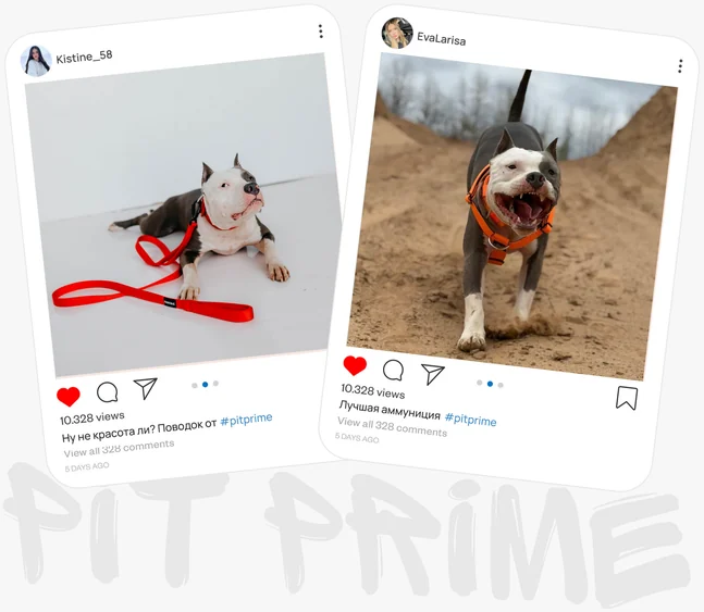 Публикации владельцев с амуницией Pit Prime